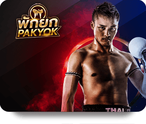 Winning Big on Oxbet Live Dealer Hot Online Casino